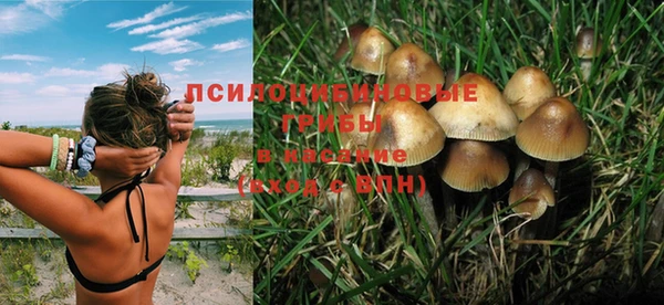 герыч Семилуки