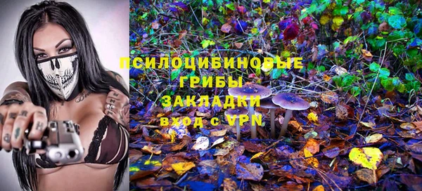 стаф Семёнов