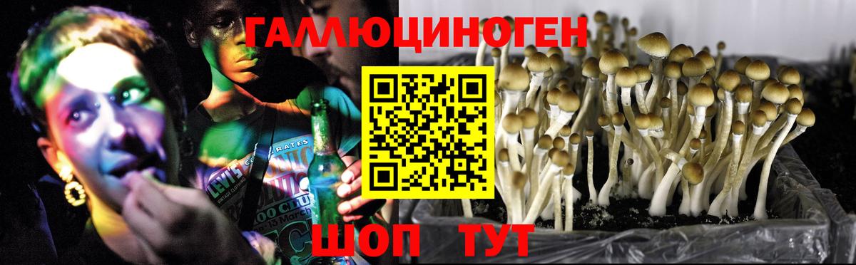 Псилоцибиновые грибы ЛСД  Вход с VPN  где продают   Ухта 